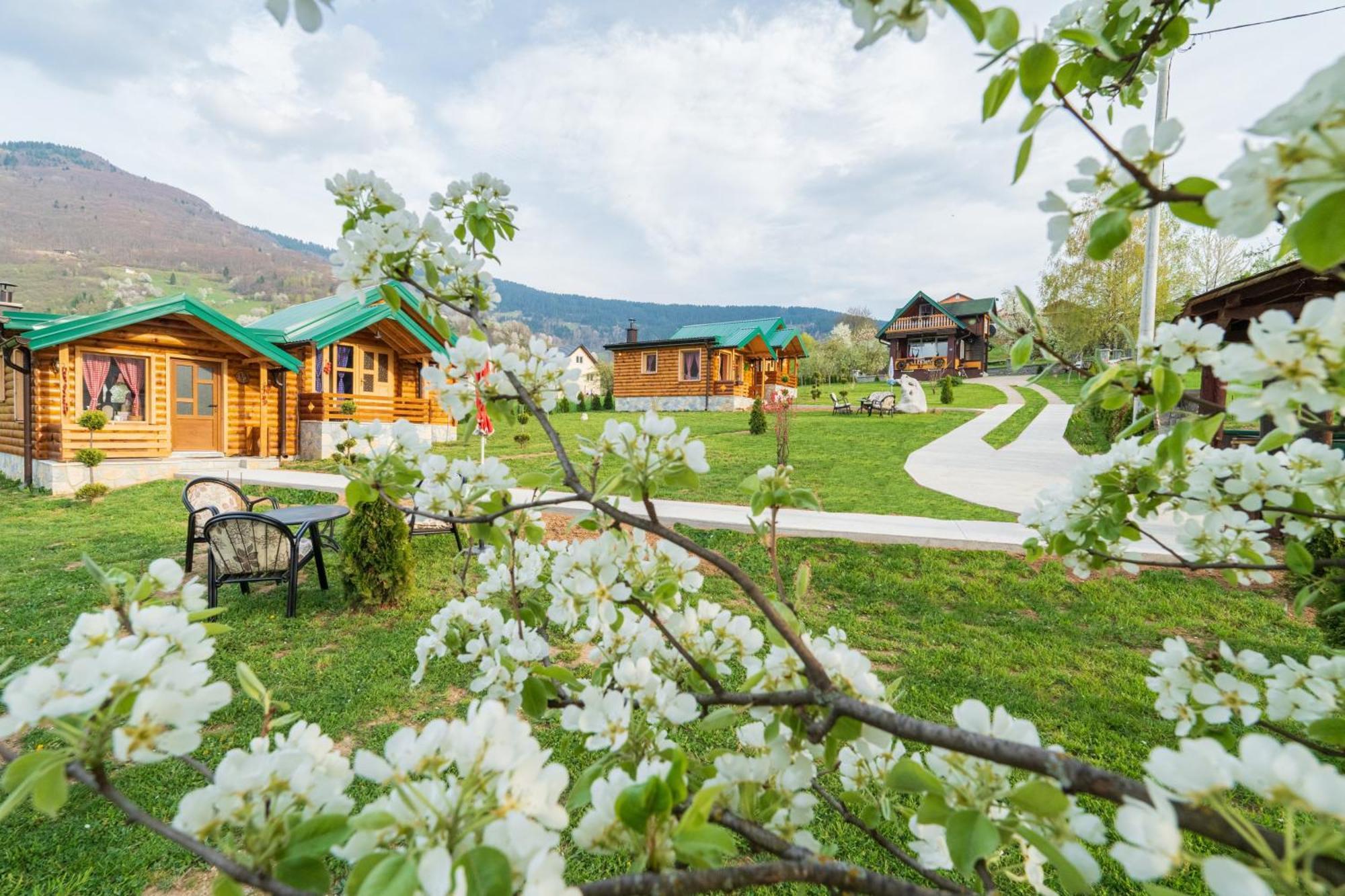 Salerno Camp Villa Plav Kültér fotó